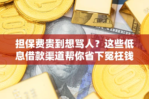 济南担保费贵到想骂人？这些低息借款渠道帮你省下冤枉钱
