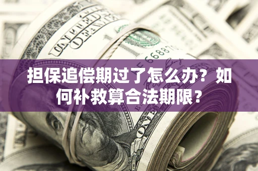 济南担保追偿期过了怎么办？如何补救算合法期限？