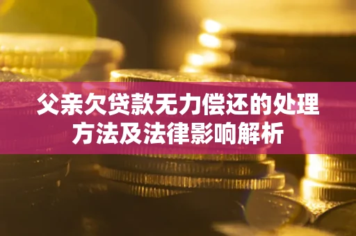济南父亲欠贷款无力偿还的处理方法及法律影响解析