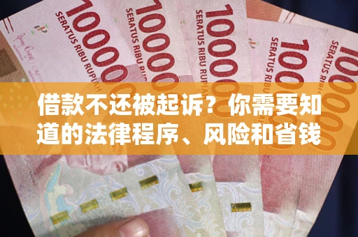 济南借款不还被起诉？你需要知道的法律程序、风险和省钱技巧
